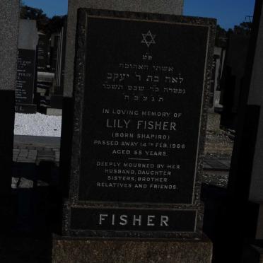 FISHER Lily nee SHAPIRO -1966