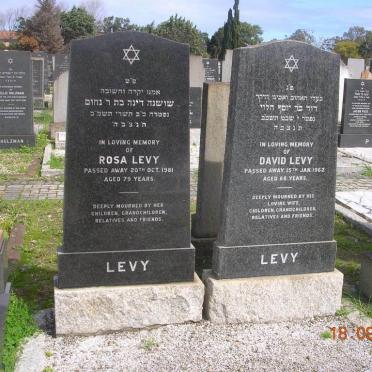 LEVY David -1962 &amp; Rosa -1981