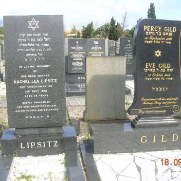 LIPSITZ Rachel Lea -1965 :: GILD Percy -1965 &amp; Eve -1995