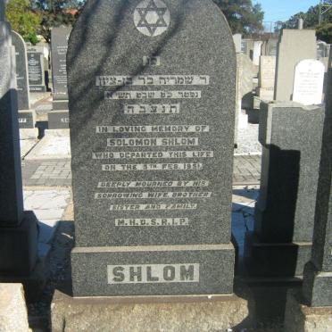 SHLOM Solomon -1951
