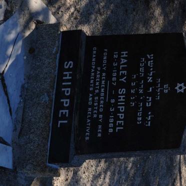 SHIPPEL Haley 1967-1968