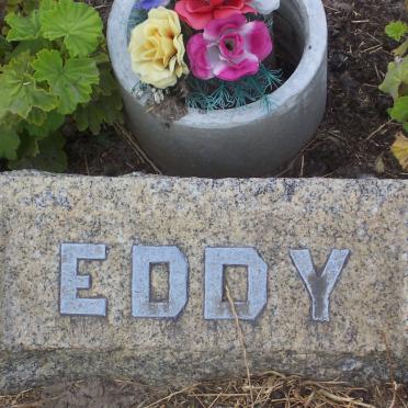 EDDY