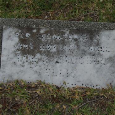 ELLIS Louis Jacobus