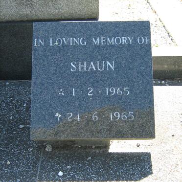? Shaun 1965-1965