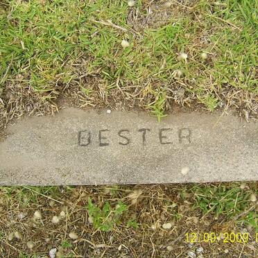 BESTER ?