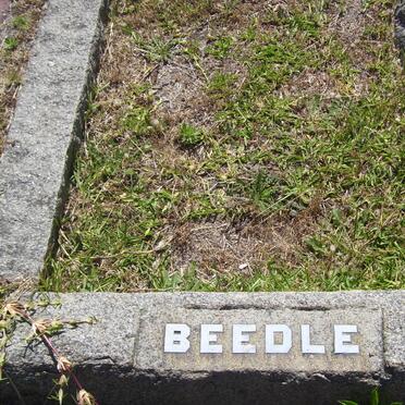 BEEDLE