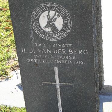 BERG H.J., van der -1916