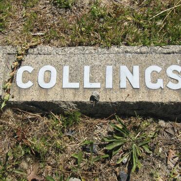 COLLINGS