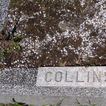 COLLINS