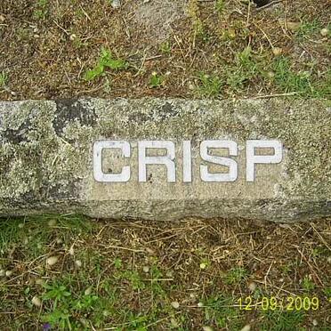 CRISP ?