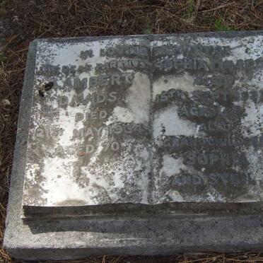 DAVIDS Lambert -1934 &amp; Sophia -1937