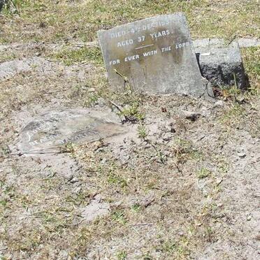 DAMSELL Beatrice Elizabeth -193?