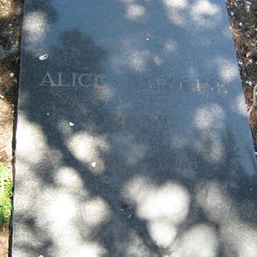 DUNT Alice Carole 1882-1966