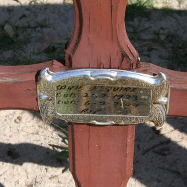 ESQUIRE Sarie 1923-2009