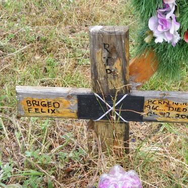 FELIX Briged 1960-2006