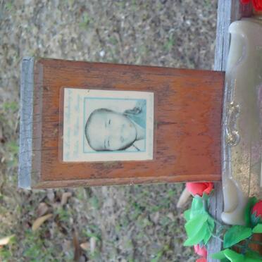 GEORGE Robin 1986-2007