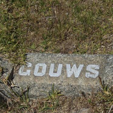 GOUWS ?