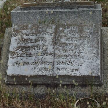 HARRISON Henry Faithful Fortesque -1967 &amp; Nellie Bertha -1964 