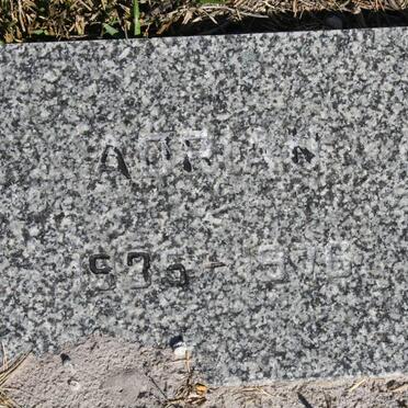 HARDING Adrian 1935-1976