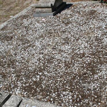 LEHMENSICH Audrey 1956-1959 _1