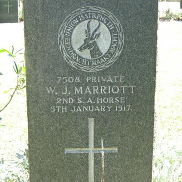 Cem_Plum_Marriott_W_J_JPG