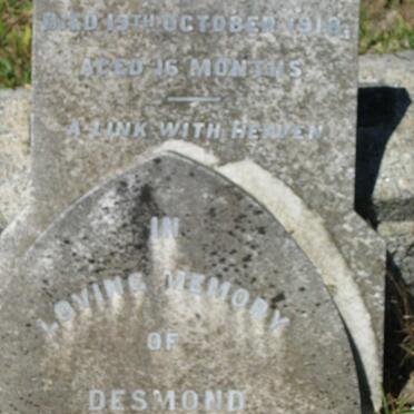 Cem_Plum_McMeekan_Desmond_JPG