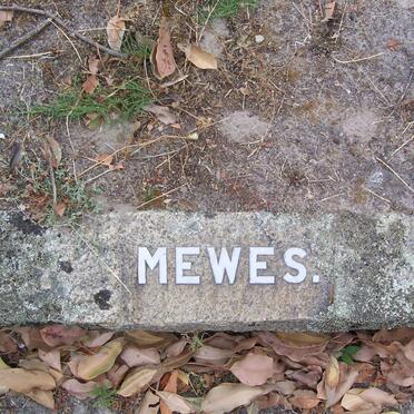 MEWES