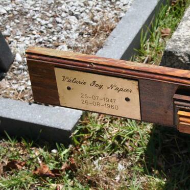 NAPIER Valarie Joy 1947-1960