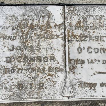 Oc - Surnames starting with the letters Oc