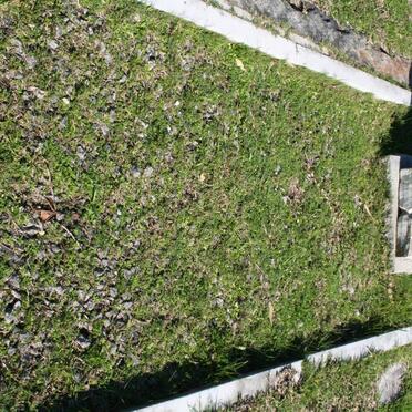 ROSENSTEINER Wilhelm Alfred 1909-1950 :: ROSENSTEINER Fredie 1938-1942