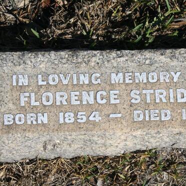 STRIDE Florence 1854-1954