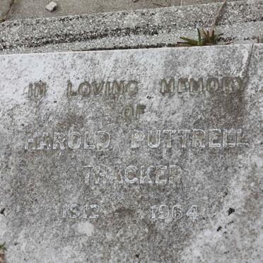 THACKER Harold Puttrell 1912-1964