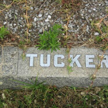 TUCKER ?