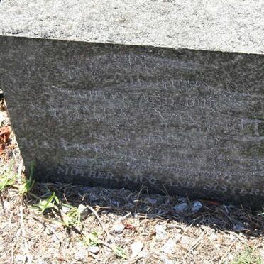 VIN??J. Sydney nee JOOSTE -195?