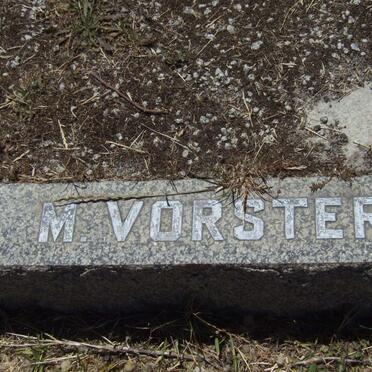 VORSTER M.
