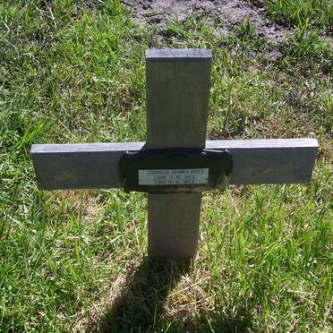 VRIES Cornelius Johannes 1942-2007