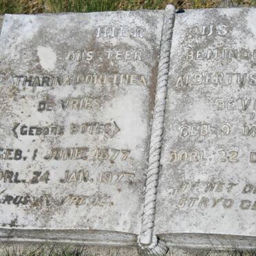 VRIES Albertus Adriaan, de 1874-1954 &amp; Catharina Dorethea BOTES 1877-1973