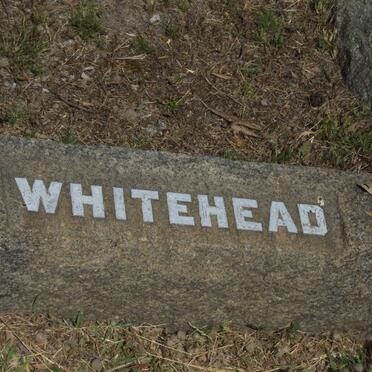 WHITEHEAD ?