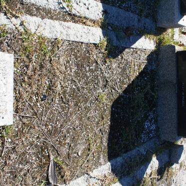 WHEELER Cecil Haven -1961