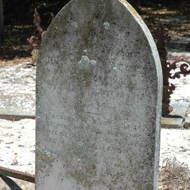 HEYNS J. 1849-1918