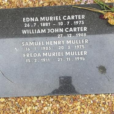 CARTER :: MULLER