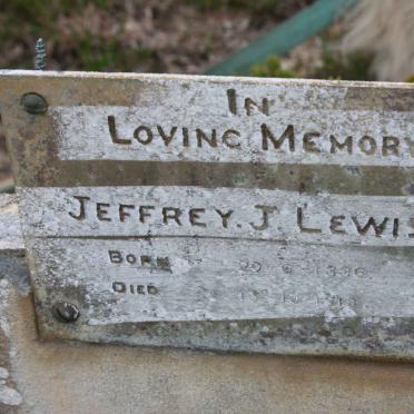 LEWIS Jeffrey J.L. 1896-1918