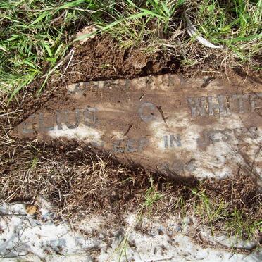 WHITE Cornelius G. -1896