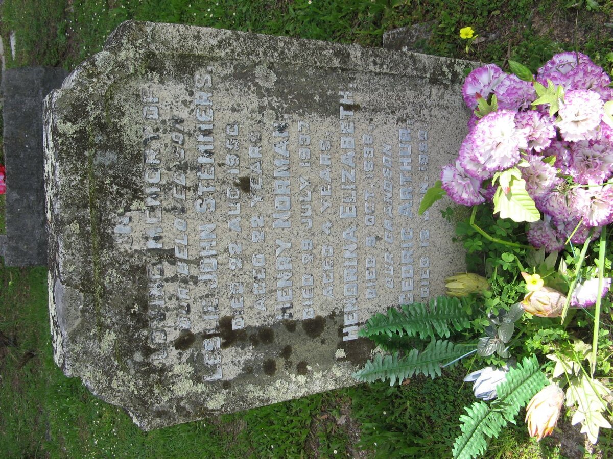 STEMMERS Leslie John -1950 :: STEMMERS Henry Norman -1937 :: STEMMERS Hendrina Elizabeth -1938 :: STEMMERS Cedric Arthur -1950