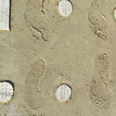 PIETERSE :: VAN DER MERWE