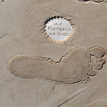 PIETERSE H.J. 1953-