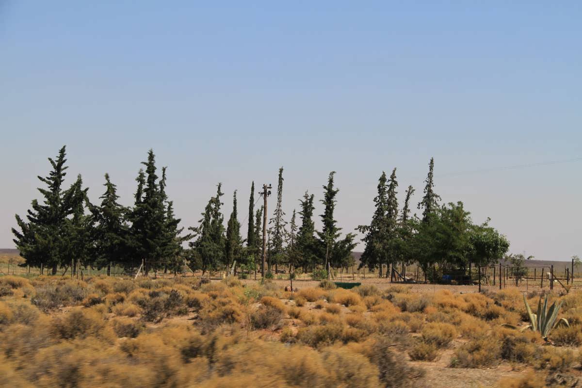 1. Oorsig oor Platfontein Begraafplaas