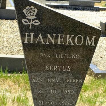HANEKOM Bertus 1980-1980