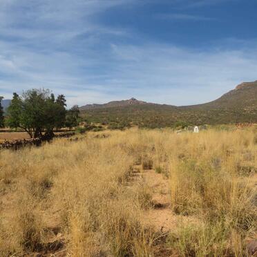 4. Overview / Oorsig