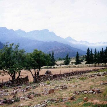 1. Entrance to the farm cemetery